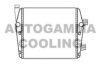 AUTOGAMMA 107064 Radiator, engine cooling